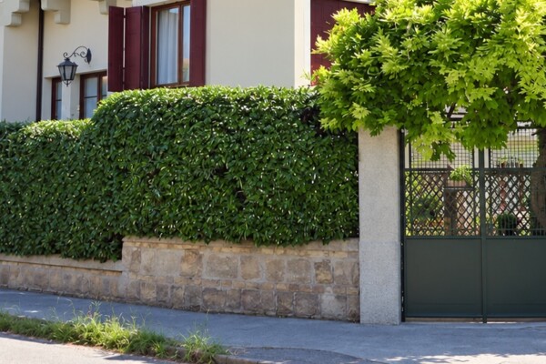 Locazione Residenziale